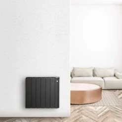 Neomitis Calianthys Ecosens 1000W Wall Mounted Electric Radiator Anthracite - PS1002ANA